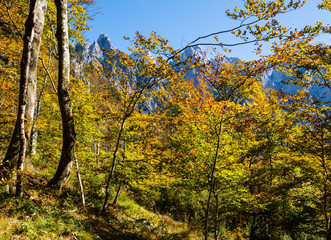 Fototapeta premium Sunny colorful autumn alpine scene. Peaceful rocky mountain view from hiking path near Almsee lake, Upper Austria.