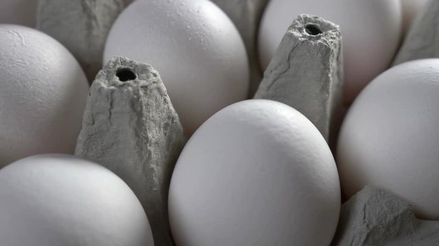 Raw white eggs in egg box or carton (Very Shallow Depth of Field,