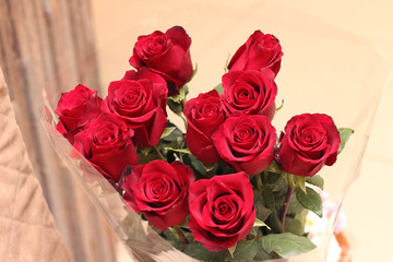 Bouquet of red roses. Valentines Day, love. A bouquet of 11 flowers in transparent packaging.