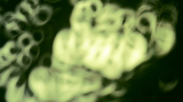 amboo Leaves Alternative Abstract Green