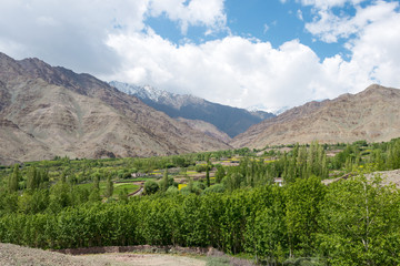 Fototapeta premium Ladakh, India - Jul 10 2019 - Beautiful scenic view from Matho Village in Ladakh, Jammu and Kashmir, India.