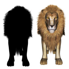 3d male lion
