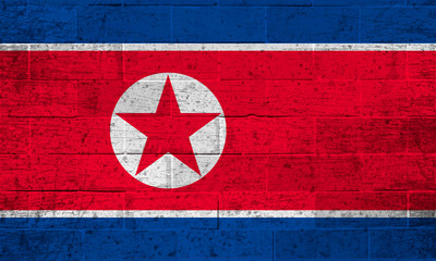Flag of North Korea on old brick wall background	