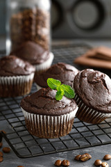 Coffee chocolate muffins for breakfast