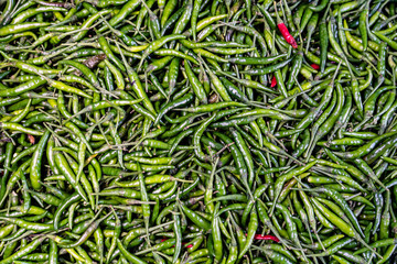 Fresh Green chili full of screen