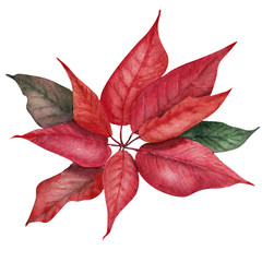 Watercolor drawing with red balls, poinsettia, sweets and silk bow