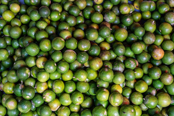 Close up image of fresh Calamansi