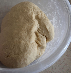 freshly mixed dough, wheat flour dough, new knead the dough in a bowl,