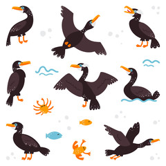 Fototapeta premium Double-breasted cormorant on a white isolated background. Set. Children's pictures