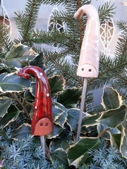 wichtelköpfe in stechpalme