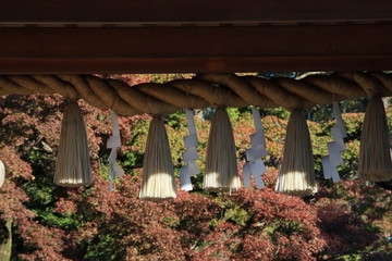 Obraz premium 大きなしめ縄