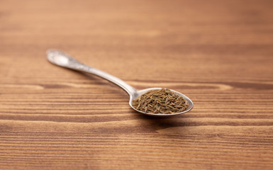 cilantro seeds in a silver spoon