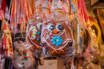 Fototapeta premium Lebkucheneulen