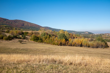 Fototapeta premium landscape in autumn