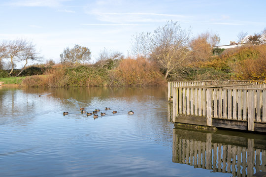 Plan d'eau au Parc de la Falaise &agrave; le Portel