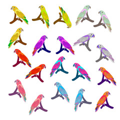 Bright parrots sitting on a branch