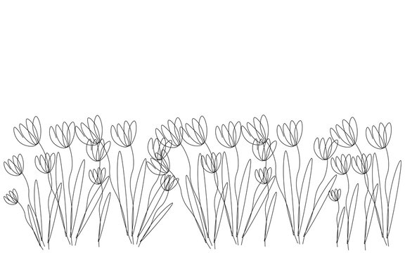Flowers background design, vector illustration