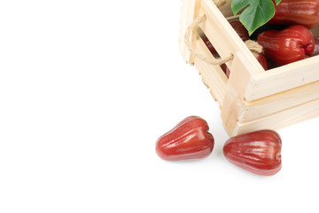 Fresh Red rose apple, java apple, Syzygium isolated on white background