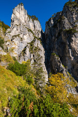 Sunny colorful autumn alpine scene. Peaceful rocky mountain view from hiking path near Almsee lake, Upper Austria.