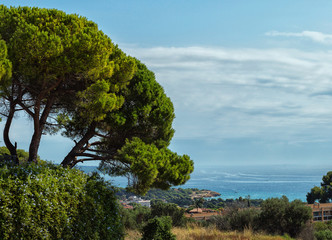 Seascape: blue sea with rocky shores and green trees. Spain, Costa Dorada, Salou