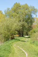 Sentier dans le marais de Guînes (Espace Naturel Sensible)