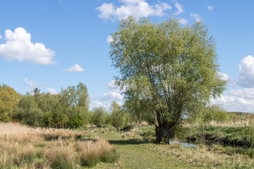 Rivière de Bouzats dans le marais de Guînes (Espace Naturel Sensible)