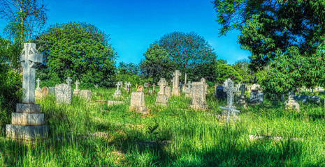 Cemetery daytime