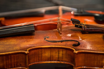 Esse et cordes d'un violon