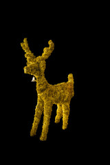 golden reindeer isolated on black background