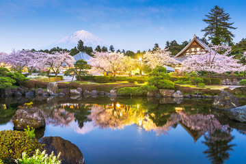 Fototapeta na wymiar Fujinomiya, Shizuoka, Japan with Mt. Fuji and temples in spring season.