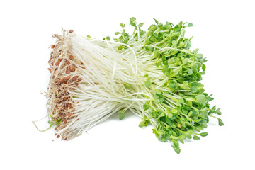 kaiware Daikon Sprouts, radish sprout (Daikon Radish Sprouts) or watercress isolated on white background.concept japanese vegetable for herb