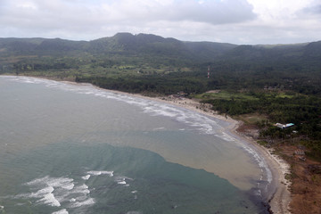 Landscape From Helicopter, Beach and Green Forest, Trees