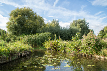 Les Hortillonnages &agrave; Rivery-l&egrave;s-Amiens