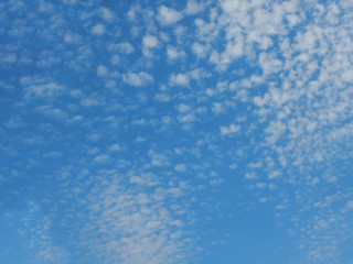 Fototapeta na wymiar Blue sky in small fluffy flakes of white clouds