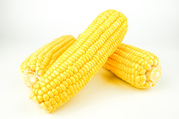 fresh raw corn cob isolated on white background