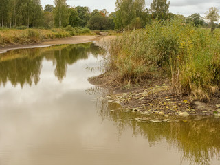 landscape with land and a pond without water, grass and reeds on shore