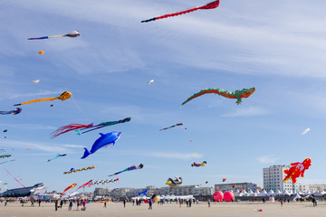 Rencontres Internationalles de Cerf-volant à Berck-plage