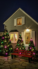 Fototapeta na wymiar christmas tree in the house