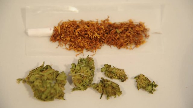 Drugs Hashish and marjuana ( Maria ) - make a joint to smoke  - narco traffic and money 