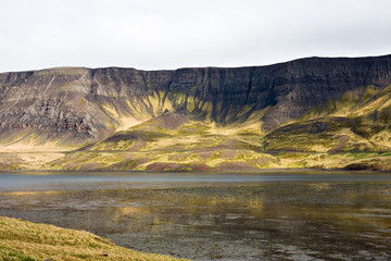 Icelandic Fjord Landscape