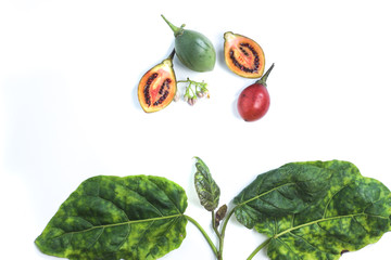 Fresh Tamarillo (Solanum betaceum) fruits with leaves