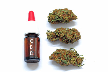 Cannabis and marijuana with high cbd and low thc - flower - light smoking drug - legal and illegal substances - healing herb - ganja