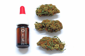 Cannabis and marijuana with high cbd and low thc - flower - light smoking drug - legal and illegal substances - healing herb - ganja oli - tcb and cbd