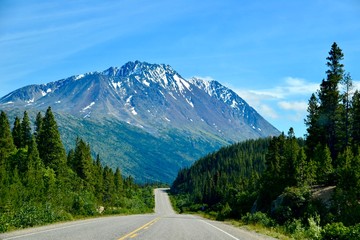 View on the Klondike Highway  Skagway Alaska to Whitehorse Yukon Canada - obrazy, fototapety, plakaty