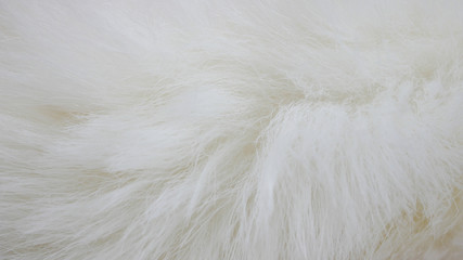 white fabric background, white cloth and soft white fur