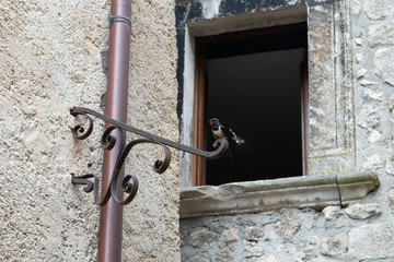 A bird perched on an architectural element