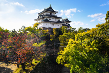 Naklejka premium Wakayama caltle on blue sky background. Fall colour concept