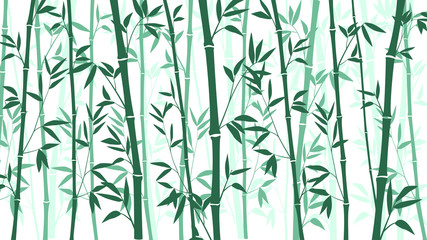 Bamboo forest for background EPS 10 - obrazy, fototapety, plakaty
