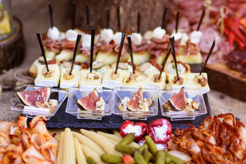 Delicacies and snacks on a buffet or banquet. Catering.