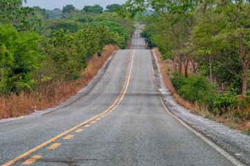 Fototapeta na wymiar road in the cerrado